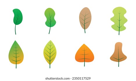 Flat Autumn Leaves Set Isolated on White Background. Flat Cartoon Leaf Vector Illustration
