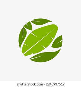 Flat banana leaf circle logo design vector illustration idea