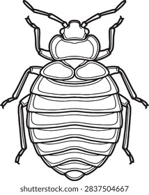 Flat Bed Bug Top Down Line Art Outline Illustration