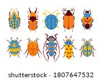 Flat beetles collection. Isolated on white background. Set of insects. Vector illustration