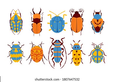 Flat beetles collection. Isolated on white background. Set of insects. Vector illustration