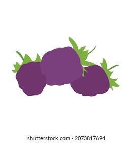 Flat berry vector image illustration design on white background