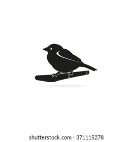 Flat bird icon. Branch illustration.