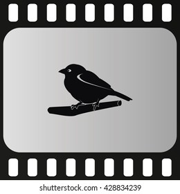 Flat bird icon. Branch illustration.