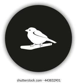 Flat bird icon. Branch illustration.