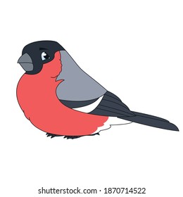 Flat Bird Illustration. Vector Bullfinch Image Isolated on White. 