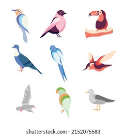 Flat Bird Illustration Vector Elements