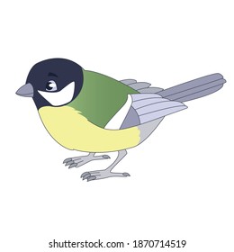 Flat Bird Illustration. Vector Tit image Isolated on White. 