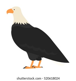 flat bird isolated on white background, beautiful vector illustration bald eagle, white headed