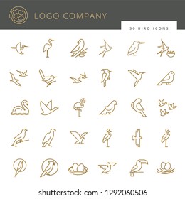 Flat birds icon set. Vector flat simple minimalistic bird logo. Birds icon, animal sign, symbol isolated on white background. Nature park, national zoo, pet shop logo, animal food store logo. 