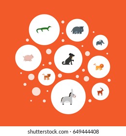 Flat Bishop, Lion, Hound And Other Vector Elements. Set Of Zoo Flat Symbols Also Includes Reptile, King, Pooch Objects.