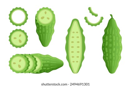 Flat bitter gourd (bitter melon) in different form with rounded cartoon style isolated on white background