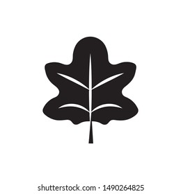 flat black glyph leaf icon. Logo element illustration.leaf design. vector eps 10 . leaf concept. Can be used in web and mobile . 