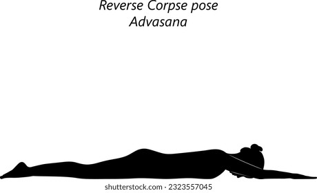 Flat black silhouette of young woman practicing yoga, doing Reverse Corpse pose. Advasana. Prone and Neutral. Beginner. Isolated vector illustration.