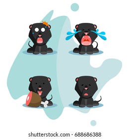 flat Black wild puma cartoon cute fun emotion set character in blue background for kids and children