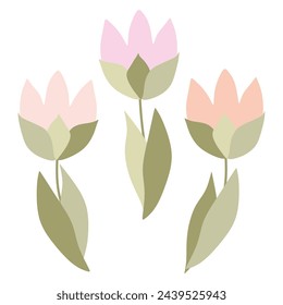 Flat Blooming Tulips Isolated on White background. Cartoon Blossom Flowers for Design Art, Greeting Card, Sticker, Paper Print, Holiday Poster for 8 March, Womens Spring day. Vector Illustration.