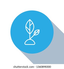 Flat blue circle illustration with long shadow Planting seed sprout in ground. Symbol grow sapling.