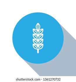 Flat blue circle illustration with long shadow Wheat vector icon. Agriculture vector icon sign.