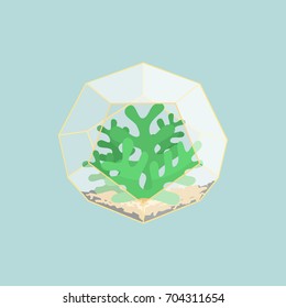 Flat Blue green cactus in creative geometric gold and glass greenhouse, succulent clear pot. Interior design concept