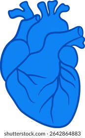 Flat blue human heart with valve simplified anatomical vector. Illustration in modern flat style. Minimal medical  isolated cardio organ icon