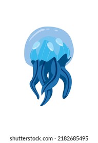 flat blue jellyfish over white