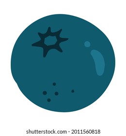 Flat Blueberries. Vector hand-drawn illustration isolated on white background.