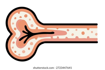 Flat bone anatomy icon showing human skeletal structure for medical education