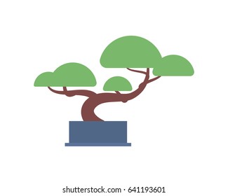 Flat Bonsai Tree