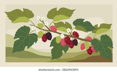Flat botanical illustration of a mulberry tree branch with green leaves, white flowers, and colorful berries.