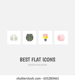 Flat Brain Set Of Brain, Mentality, Idea And Other Vector Objects. Also Includes Inspiration, Mentality, Bulb Elements.