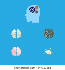 Flat Brain Set Of Mentality, Brain, Imagination And Other Vector Objects. Also Includes Mind, Intellect, Thinking Elements.