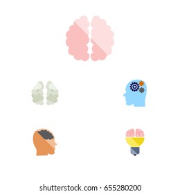 Flat Brain Set Of Mentality, Imagination, Invention And Other Vector Objects. Also Includes Idea, Bulb, Human Elements.