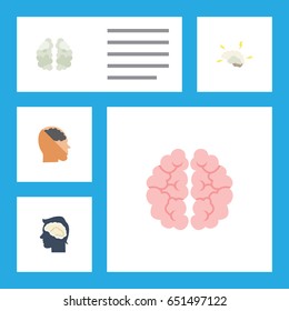 Flat Brain Set Of Mentality, Mind, Intellect And Other Vector Objects. Also Includes Thinking, Human, Mentality Elements.