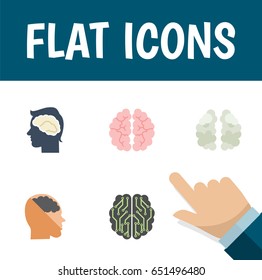 Flat Brain Set Of Thinking, Mentality, Mind And Other Vector Objects. Also Includes Brainstorming, Mind, Mentality Elements.