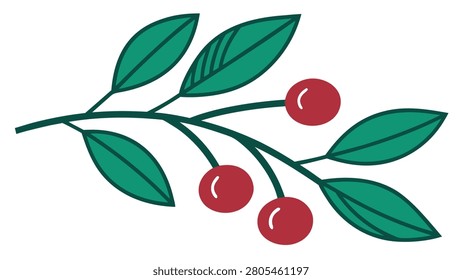 Flat of a branch with green leaves and red berries