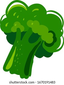 Flat broccoli, illustration, vector on white background.