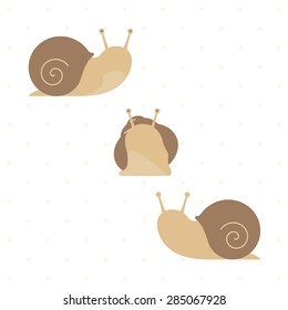 Flat brown snail