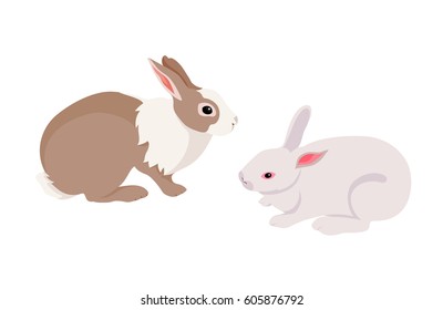  Flat brown and white rabbit. Illustration isolated on a white background.