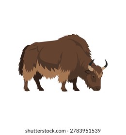 A flat of a brown yak standing in profile, facing right with its head lowered as if grazing. The animal thick, shaggy fur in shades of dark and medium brown, with a lighter tan fringe along its underbelly and legs. It has curved, pointed horns, a sturdy build, and dark hooves. The uses solid colors and clean lines, isolated against a plain white background, capturing the characteristic silhouette of this mountain bovine.