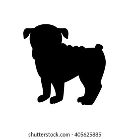 Flat bulldog pet illustration.