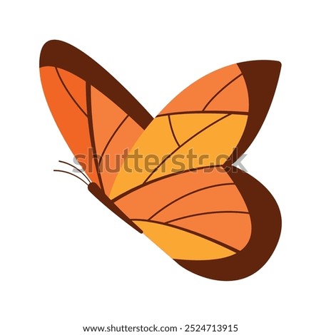 Flat butterflies flying illustration on gray background.
