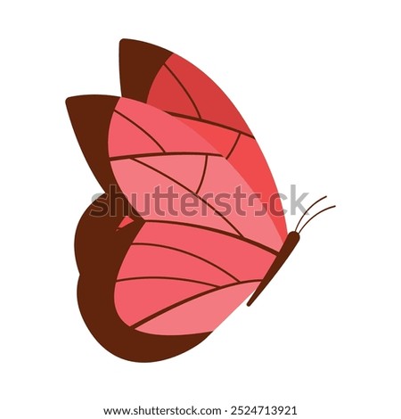 Flat butterflies flying illustration on gray background.