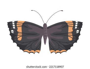 Flat Butterfly on white background icon