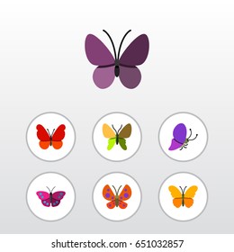 Flat Butterfly Set Of Archippus, Violet Wing, Summer Insect And Other Vector Objects. Also Includes Moth, Milkweed, Monarch Elements.