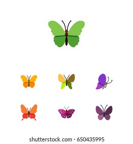 Flat Butterfly Set Of Danaus Plexippus, Archippus, Summer Insect And Other Vector Objects. Also Includes Summer, Archippus, Butterfly Elements.