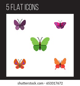 Flat Butterfly Set Of Milkweed, Moth, Danaus Plexippus And Other Vector Objects. Also Includes Summer, Milkweed, Moth Elements.