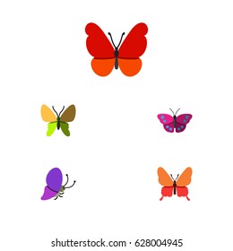 Flat Butterfly Set Of Monarch, Summer Insect, Beauty Fly And Other Vector Objects. Also Includes Monarch, Butterfly, Moth Elements.
