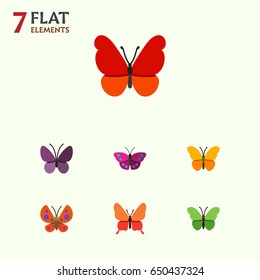 Flat Butterfly Set Of Moth, Milkweed, Danaus Plexippus And Other Vector Objects. Also Includes Moth, Insect, Monarch Elements.