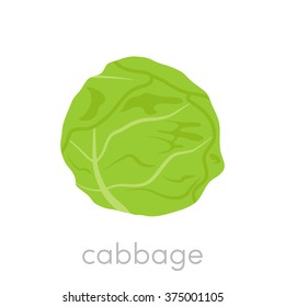 Flat cabbage icon. Vector illustration of a white cabbage