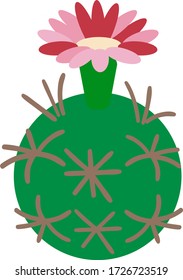 Flat Cactus indoor plant vector on white background